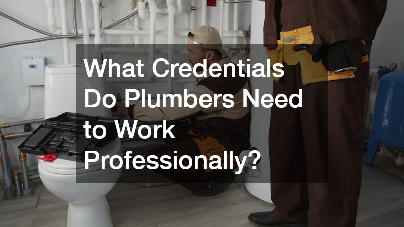 What Credentials Do Plumbers Need to Work Professionally?